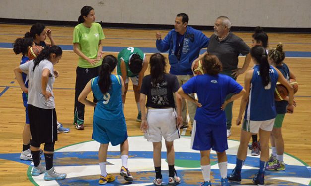 Halconas buscan boleto a playoffs