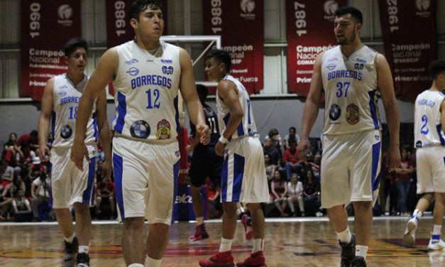 Los campeones del Tec Hidalgo arrancan la pretemporada