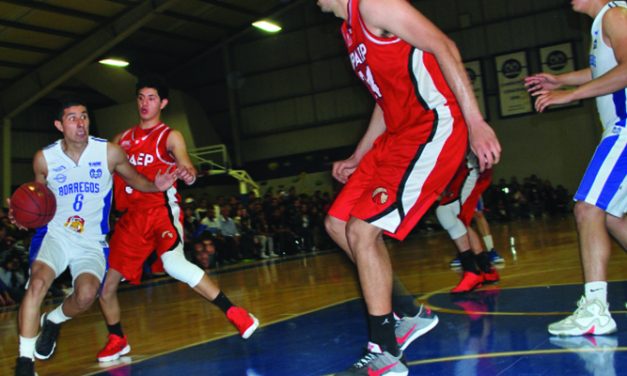 Borregos Hidalgo mantienen la racha rumbo a los Ocho Grandes 2018