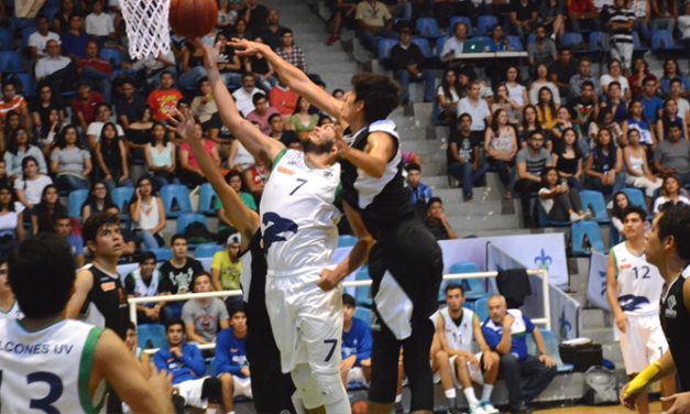Los Halcones de la UV emprenden un nuevo vuelo