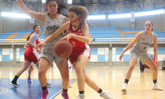 Caen las Tuzas de la UAZ frente a la UVM Querétaro