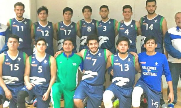 Los Halcones UV listos para el reinicio del torneo