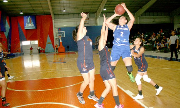 Las Borregas Hidalgo mantienen el invicto