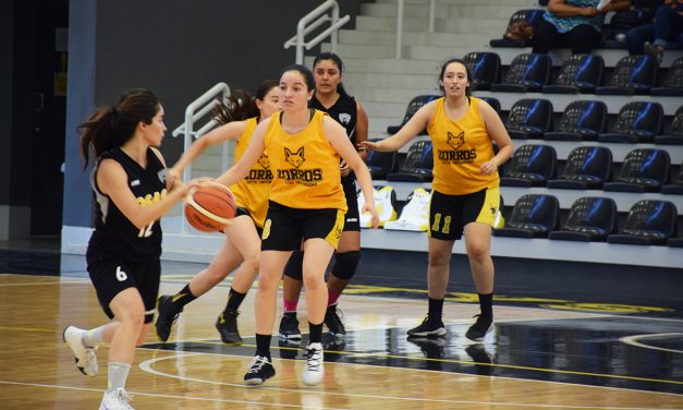 El CETYS Universidad con experiencia y juventud abren la temporada 2019-20