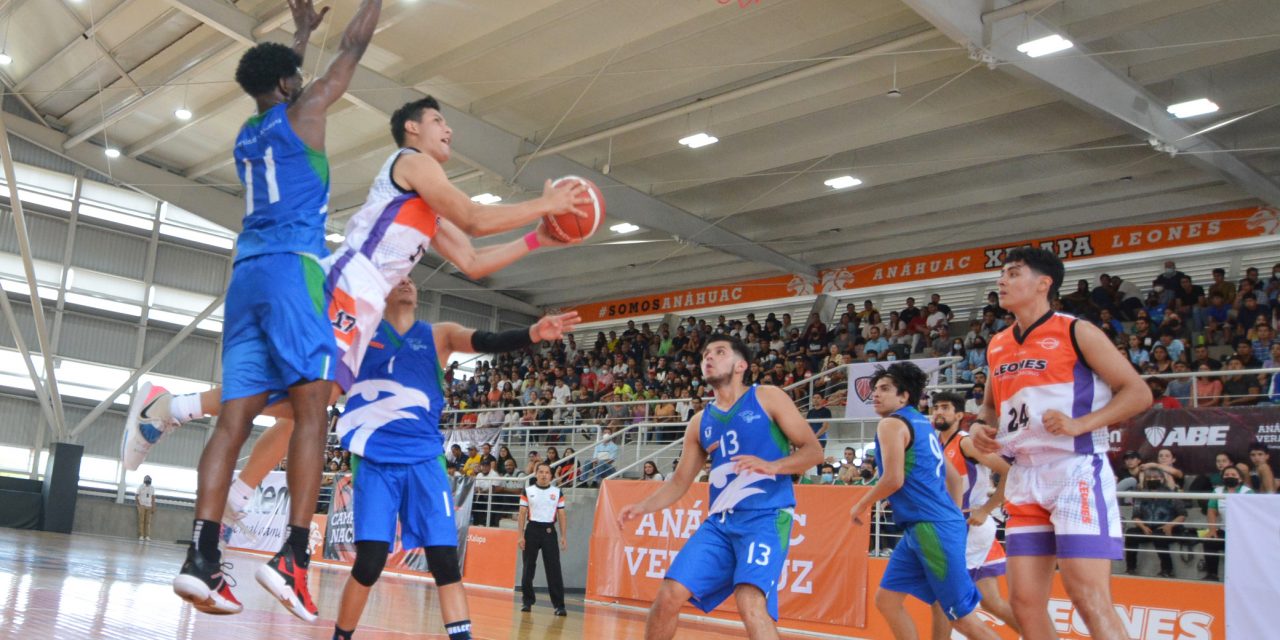 #ClásicoABE Leones Anáhuac Veracruz se juega el invicto ante los Halcones UV